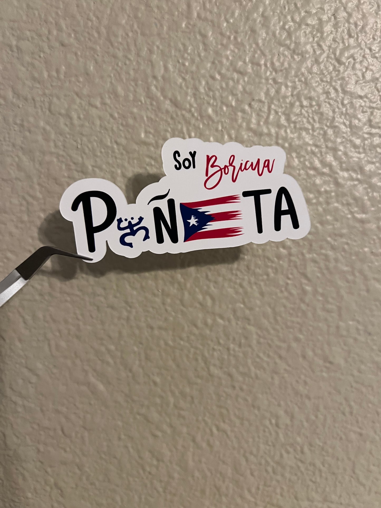 Soy Boricua Puñeta