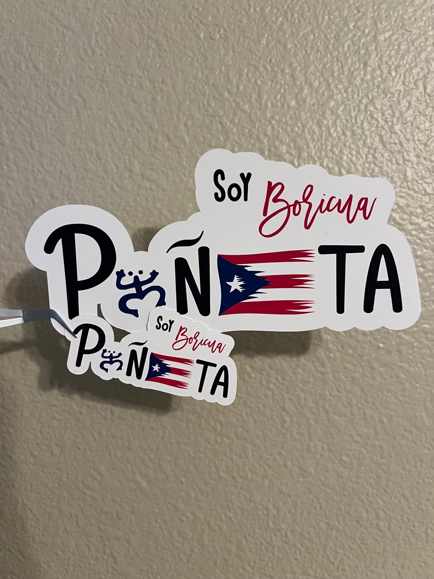 Soy Boricua Puñeta