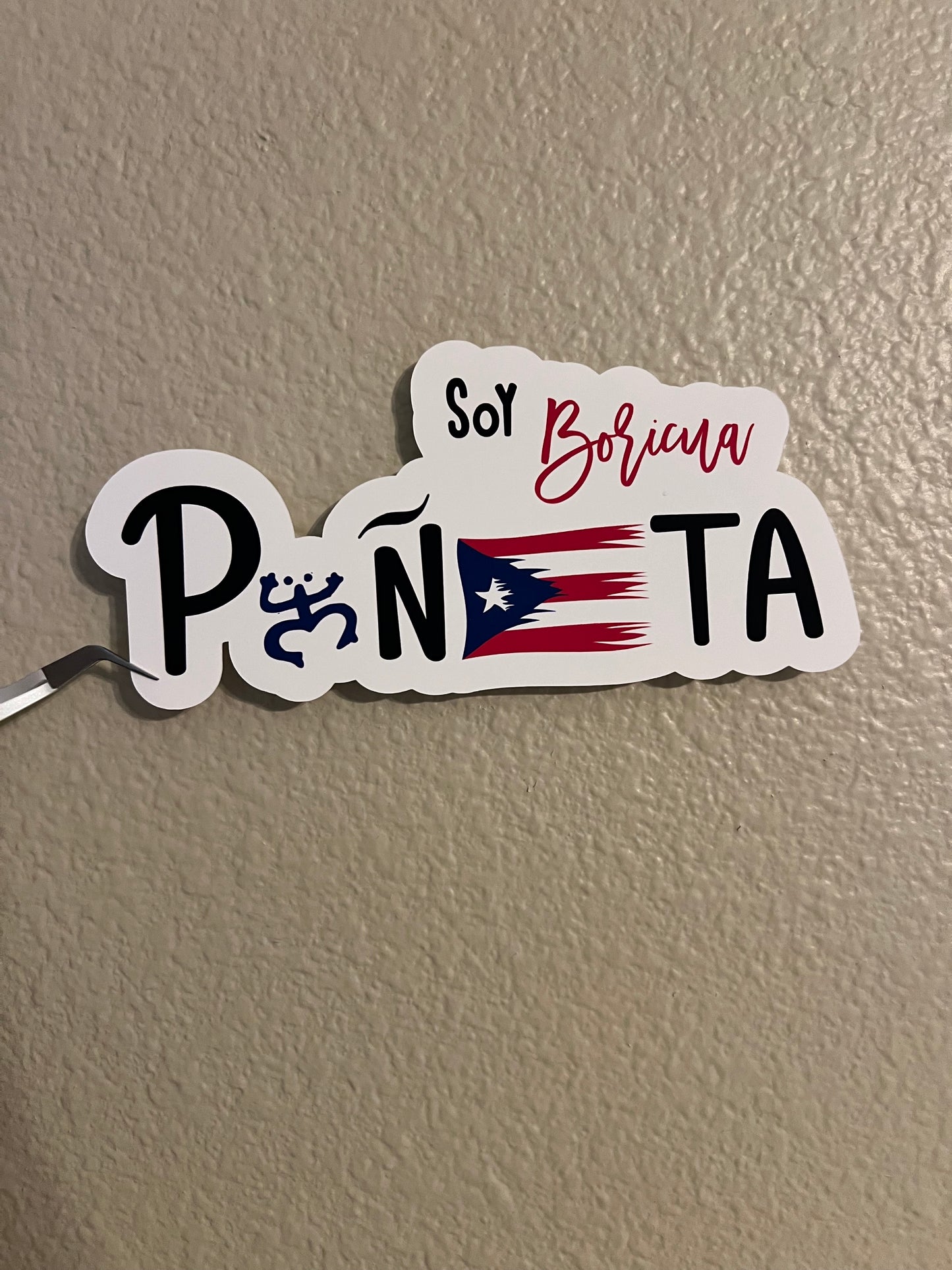 Soy Boricua Puñeta